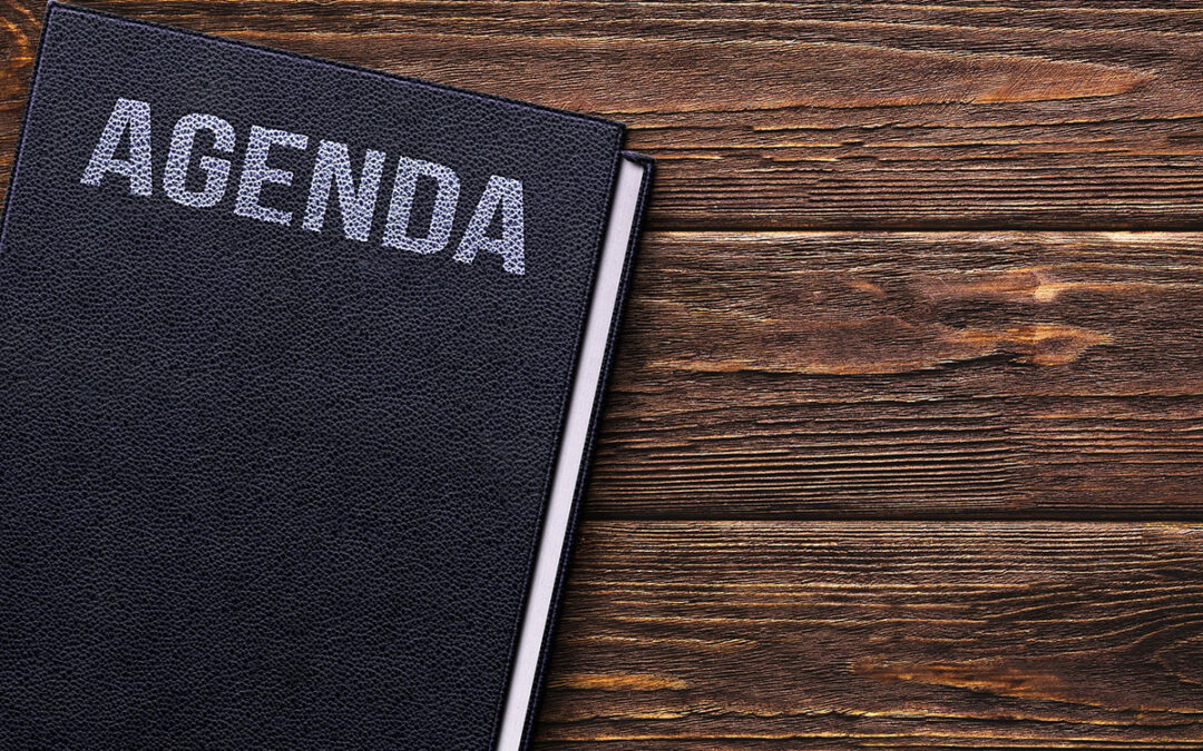 Agenda for April 15 2023 annual meeting